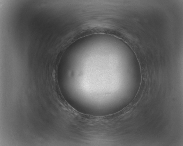 X0000083581061200702090835