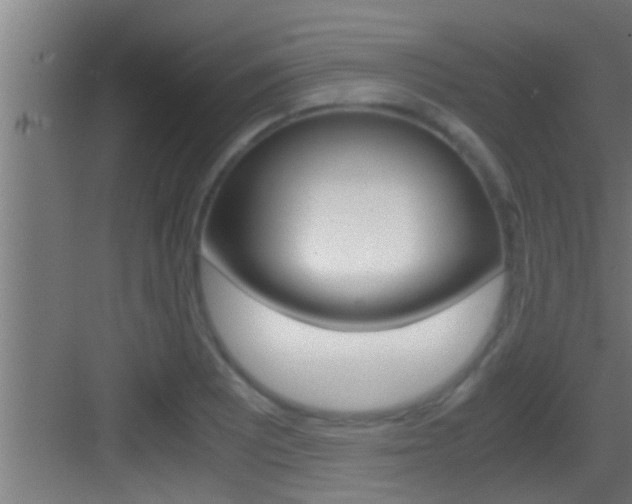 X0000083581081200702090835
