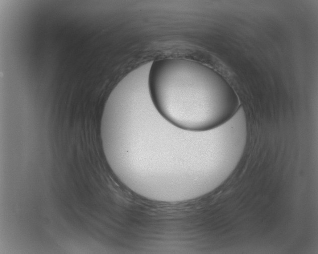 X0000083581108200702090834
