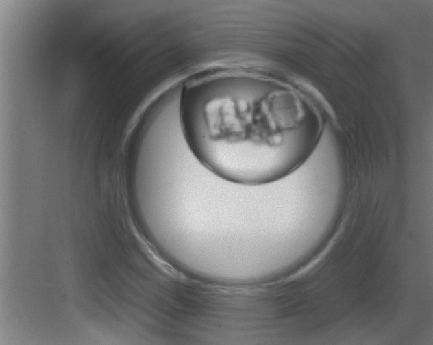 X0000083581114200702090834