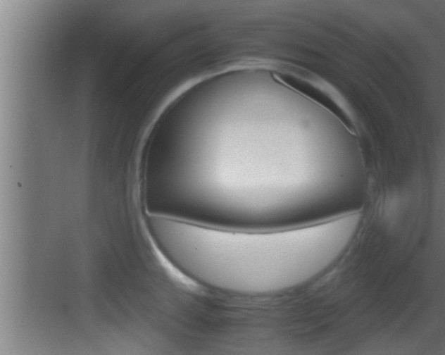 X0000083581143200702090834