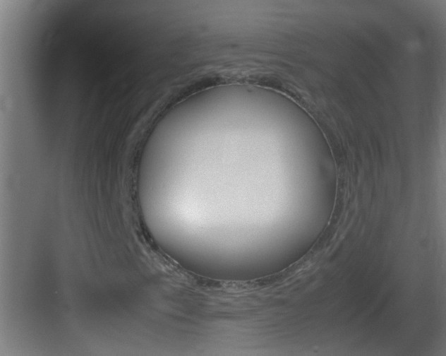 X0000083581153200702090834