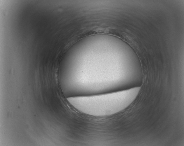 X0000083581154200702090834