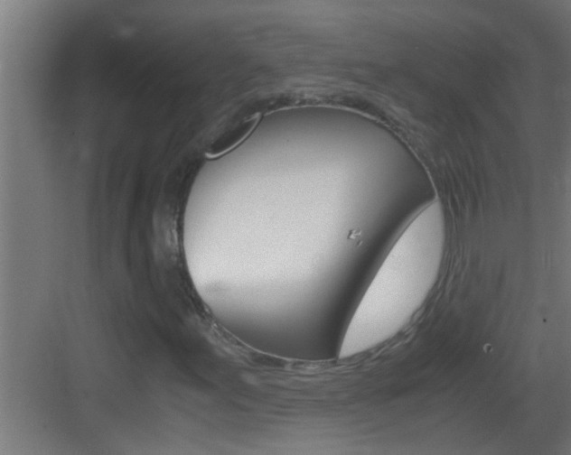 X0000083581155200702090834