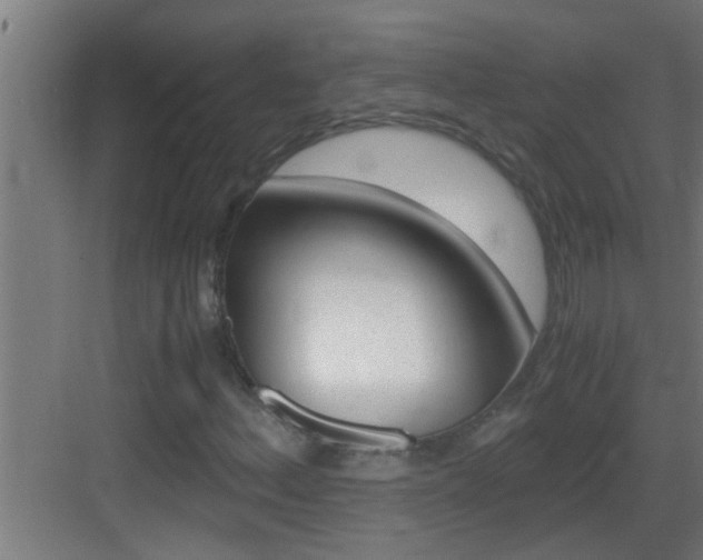 X0000083581156200702090834