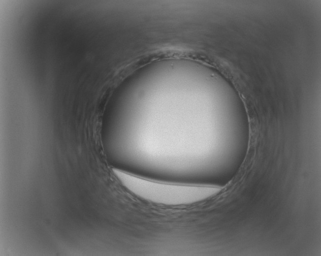 X0000083581157200702090834