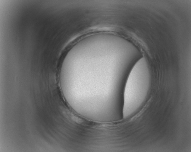 X0000083581166200702090833