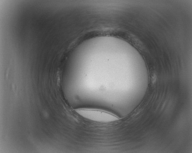 X0000083581204200702090832