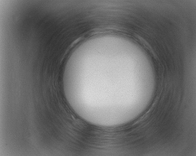 X0000083581210200702090832