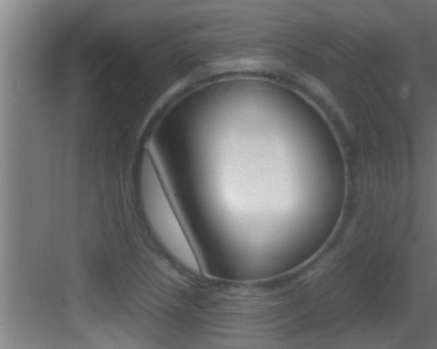 X0000083581218200702090832