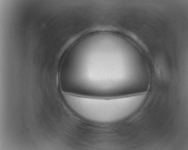 X0000083581221200702090832