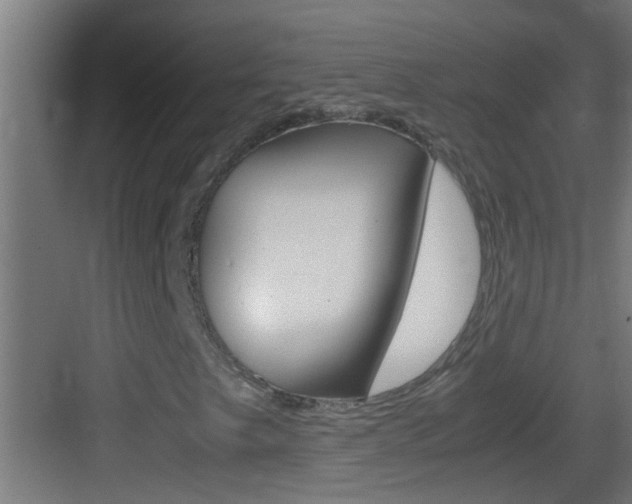 X0000083581249200702090832
