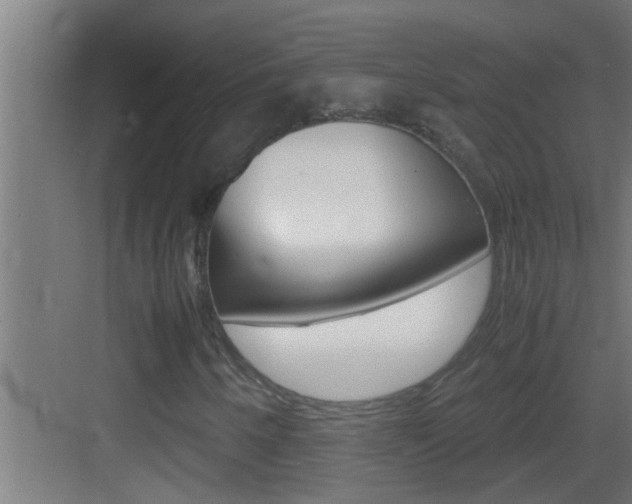 X0000083581250200702090832