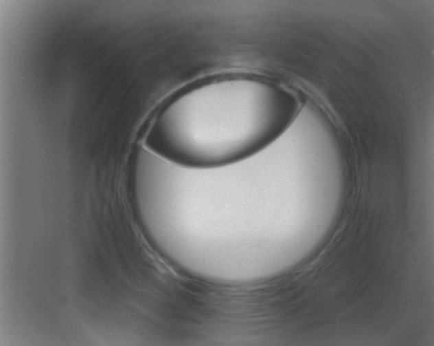 X0000083581260200702090832
