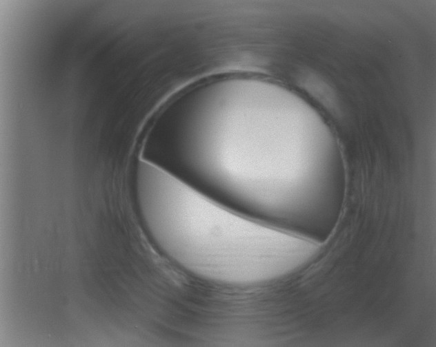X0000083581268200702090832