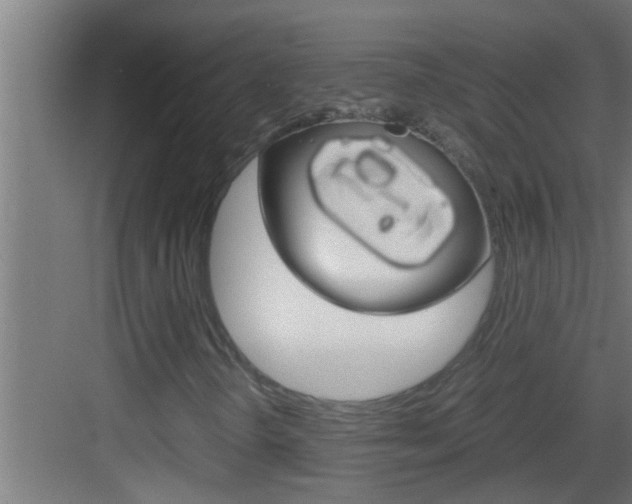 X0000083581298200702090830