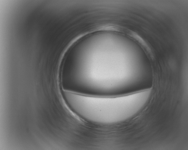 X0000083581331200702090831