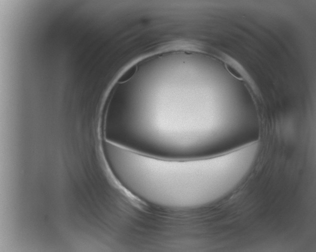 X0000083581339200702090831