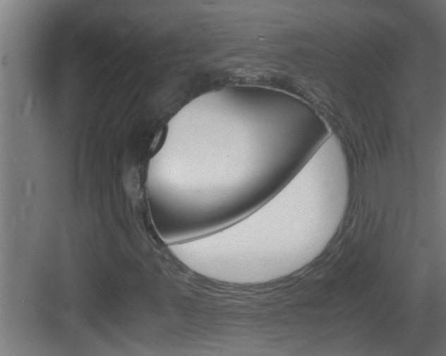 X0000083581347200702090830
