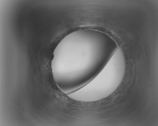 X0000083581351200702090830
