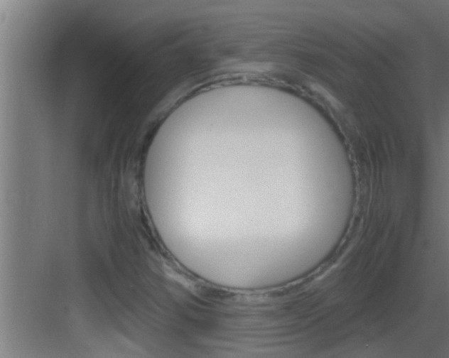 X0000083581354200702090830