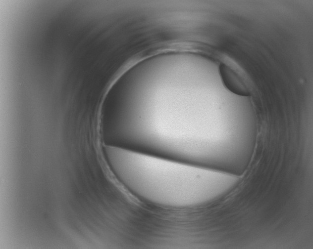 X0000083581378200702090830