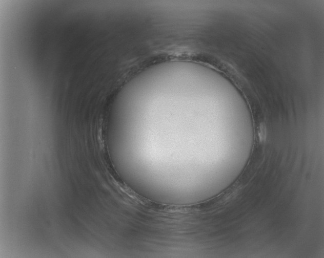 X0000083581396200702090829