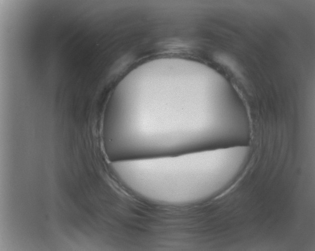 X0000083581403200702090829