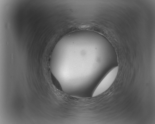 X0000083581441200702090829