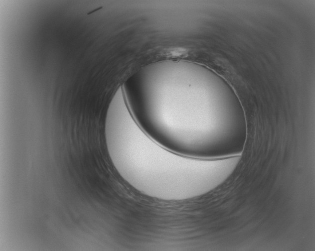 X0000083581442200702090829