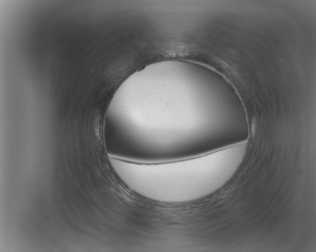 X0000083581444200702090829