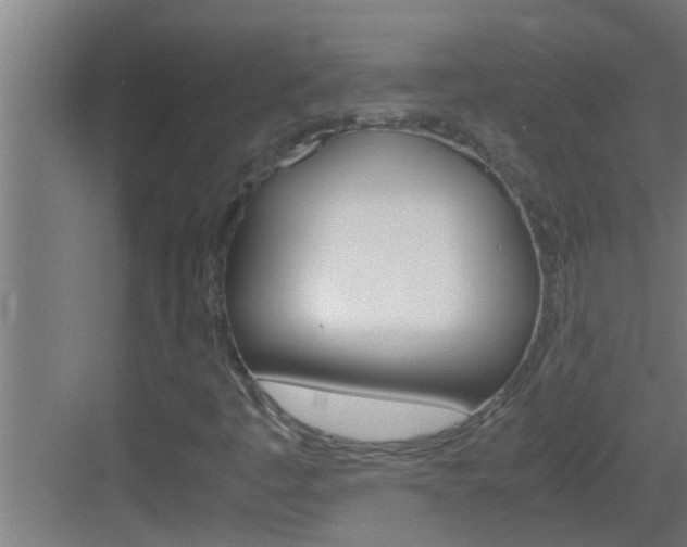 X0000083581445200702090829