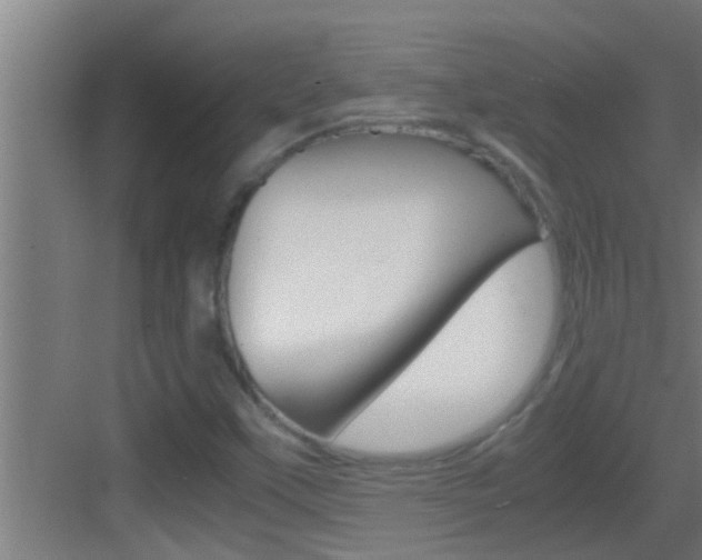 X0000083581451200702090829