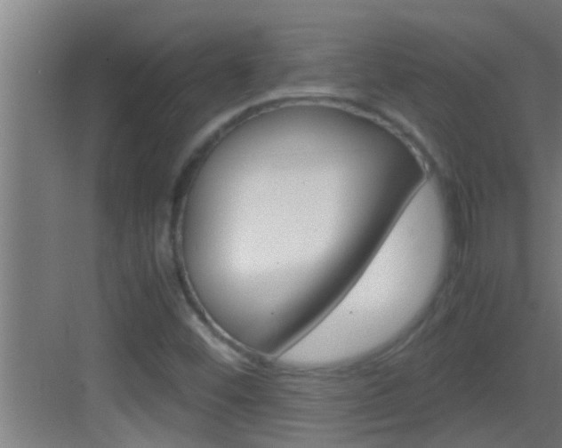 X0000083581452200702090829
