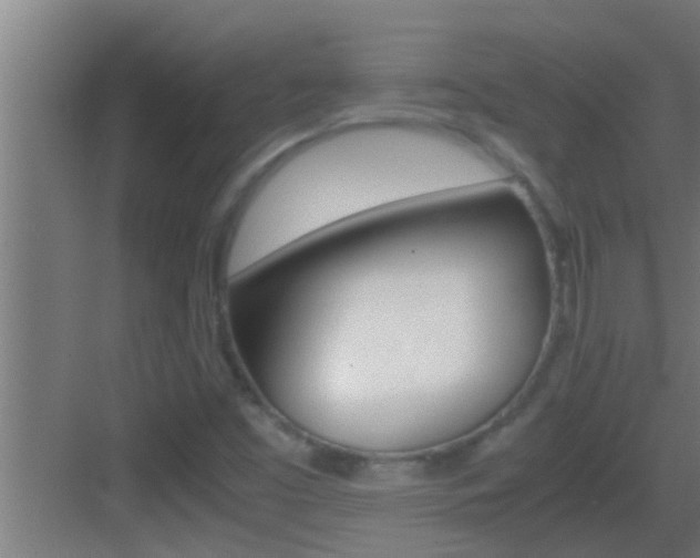 X0000083581453200702090829