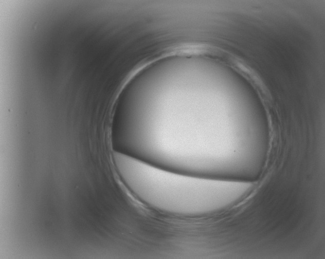 X0000083581473200702090828