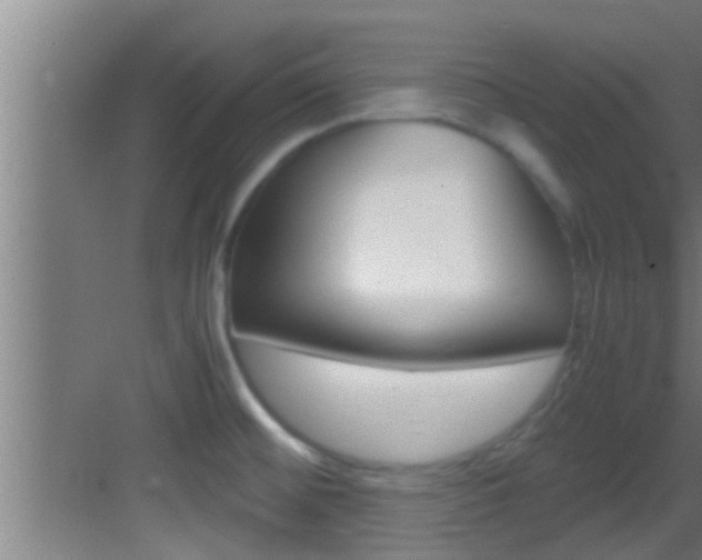 X0000083581476200702090828