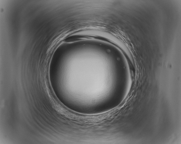X0000083580001200702091130