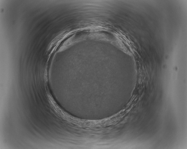 X0000083580002200702091130