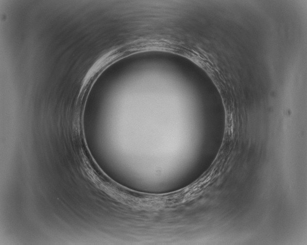 X0000083580004200702091130