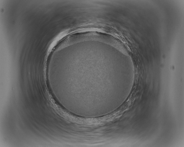X0000083580006200702091130