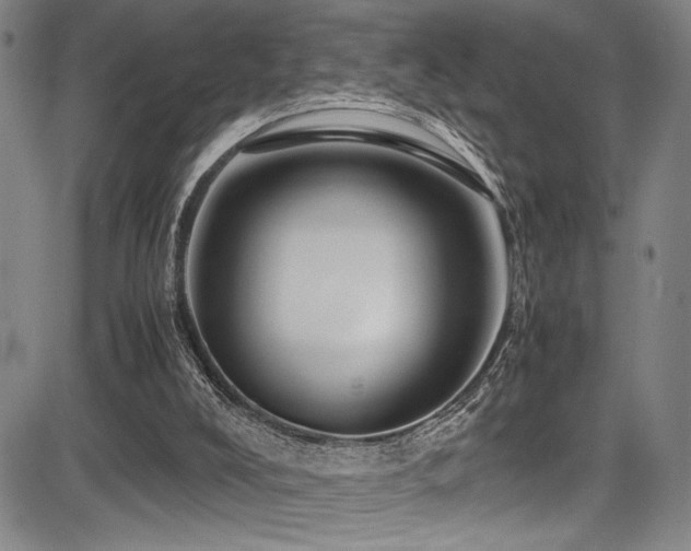 X0000083580008200702091130