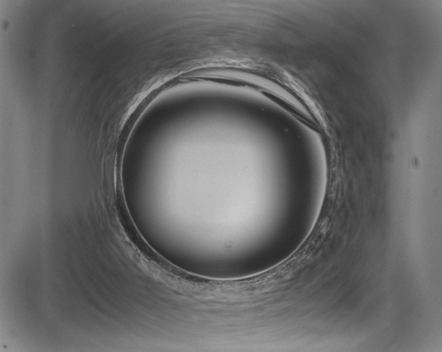 X0000083580011200702091130