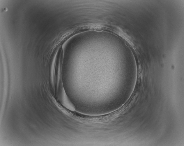 X0000083580013200702091130