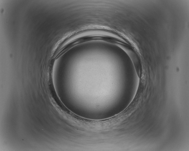 X0000083580015200702091130