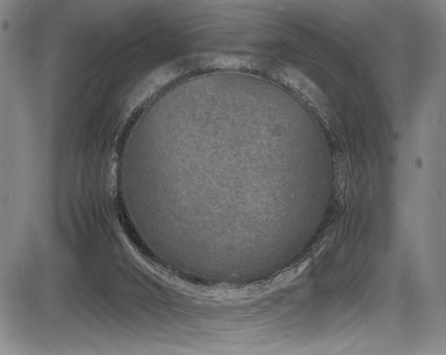 X0000083580016200702091130
