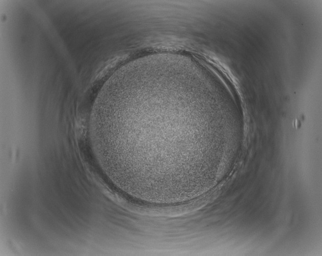 X0000083580017200702091130