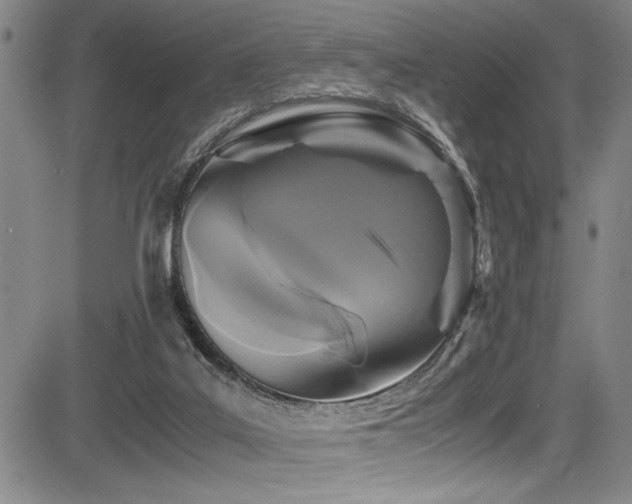 X0000083580019200702091130