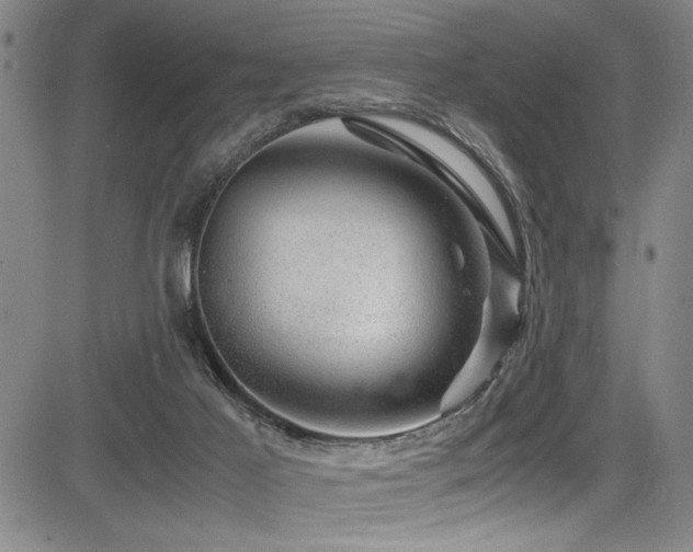 X0000083580021200702091130