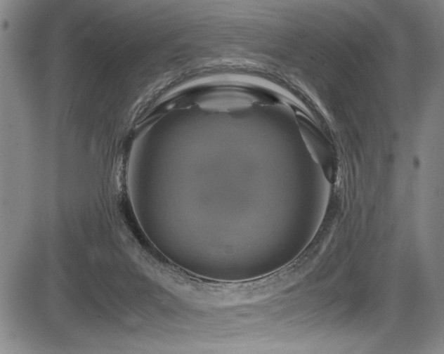 X0000083580023200702091130